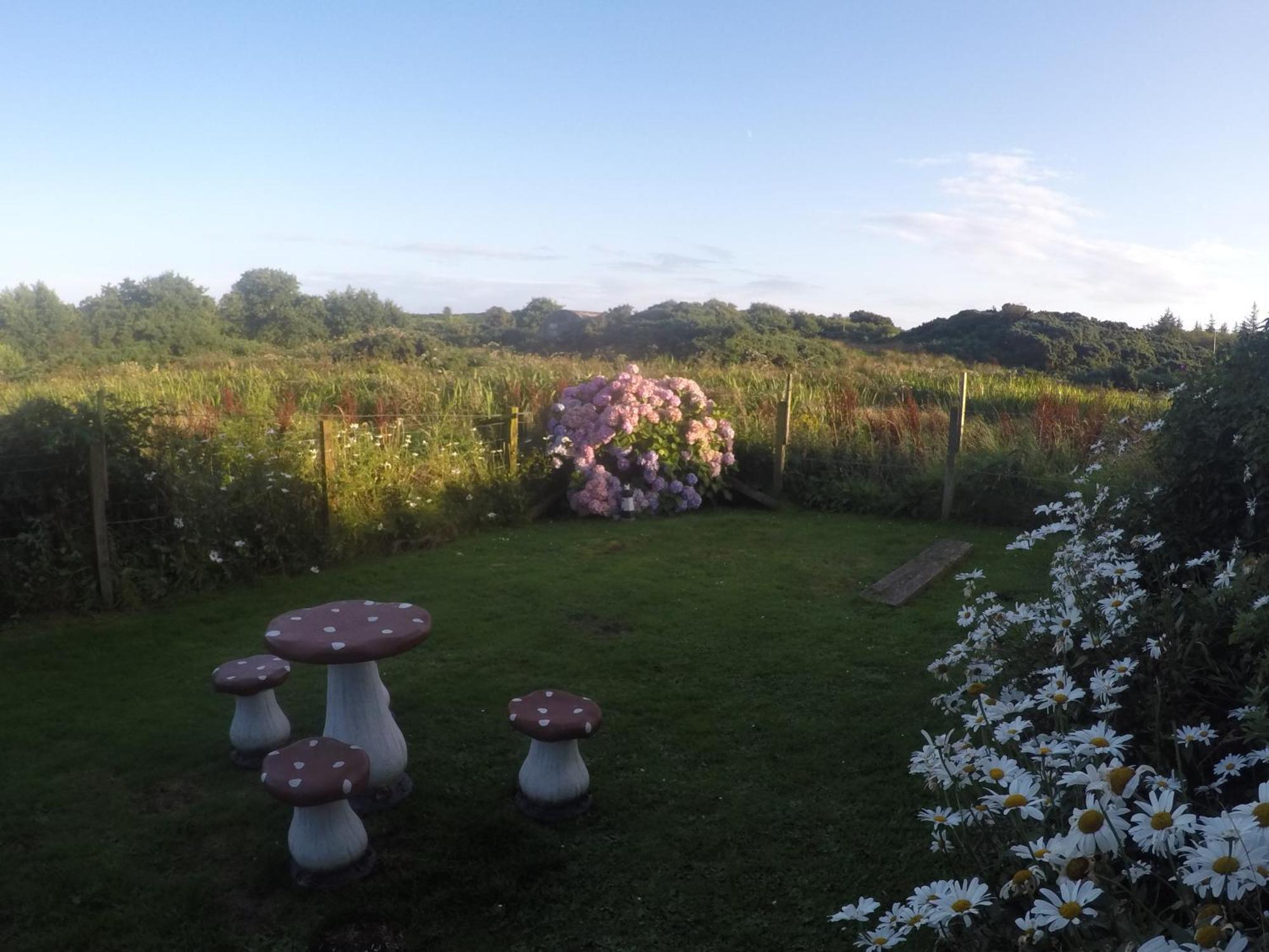 Isle of Gigha Beach View Cottage מראה חיצוני תמונה